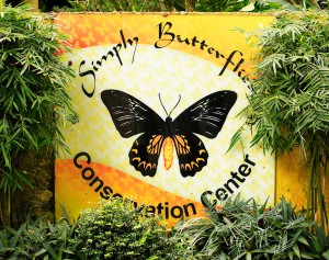 simply-butterflies-conservation-center